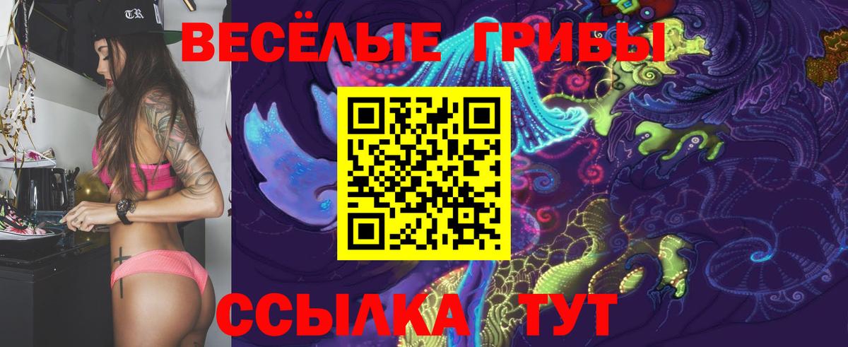 купить   Псилоцибиновые грибы Magic Shrooms  Вход с VPN  Корсаков 